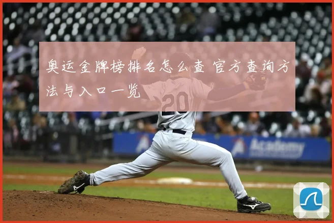 奥运金牌榜排名怎么查 官方查询方法与入口一览